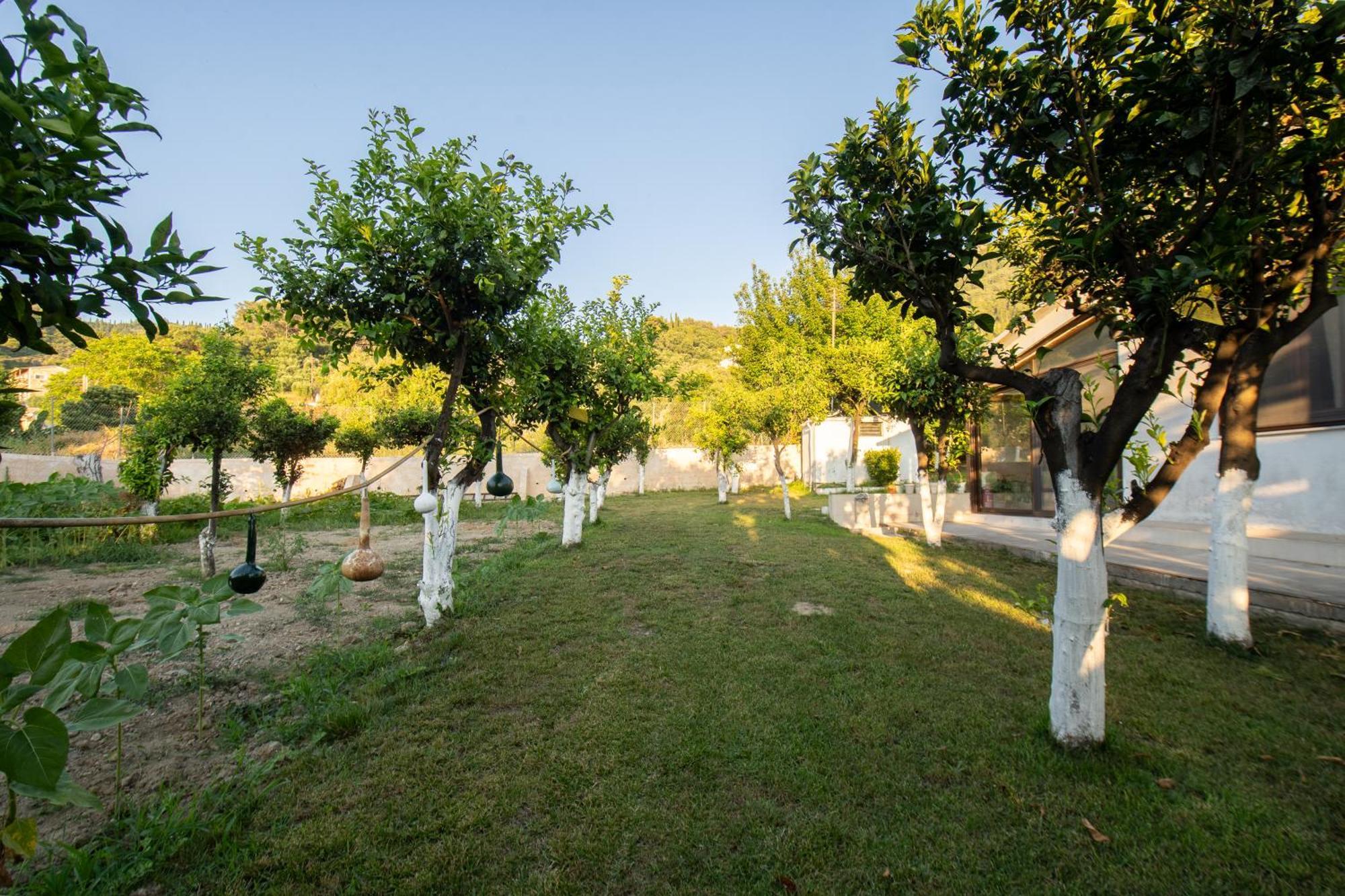 To Ktimataki Villa Agios Gordios  Exterior photo